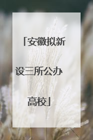 安徽拟新设三所公办高校