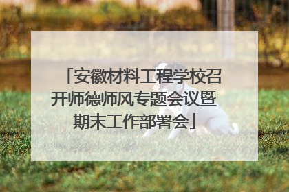 安徽材料工程学校召开师德师风专题会议暨期末工作部署会