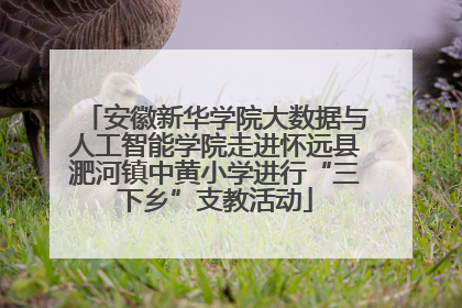 安徽新华学院大数据与人工智能学院走进怀远县淝河镇中黄小学进行“三下乡”支教活动