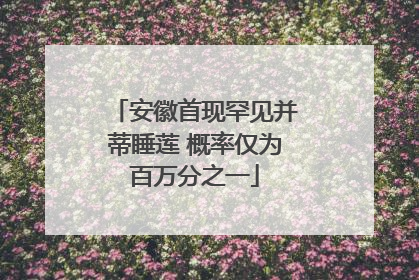 安徽首现罕见并蒂睡莲 概率仅为百万分之一