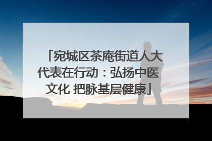 宛城区茶庵街道人大代表在行动：弘扬中医文化 把脉基层健康