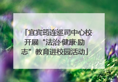宜宾筠连巡司中心校开展“法治·健康·励志”教育进校园活动