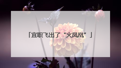 宜职飞出了“火凤凰”