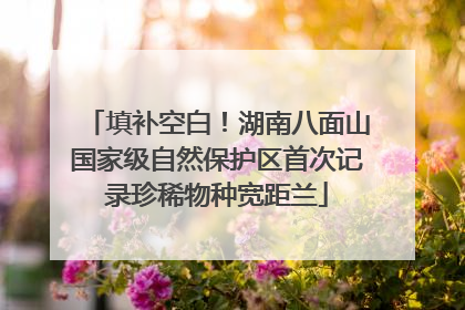 填补空白！湖南八面山国家级自然保护区首次记录珍稀物种宽距兰