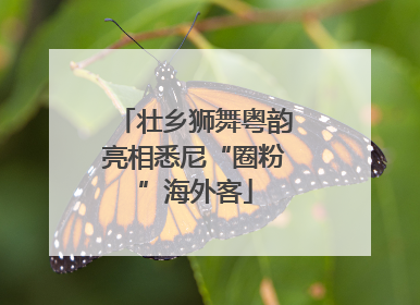壮乡狮舞粤韵亮相悉尼“圈粉”海外客