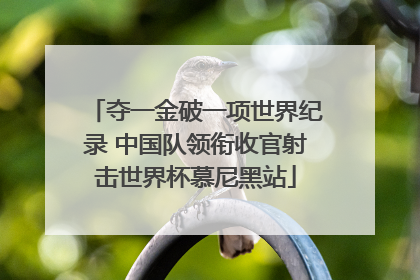 夺一金破一项世界纪录 中国队领衔收官射击世界杯慕尼黑站