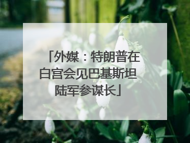 外媒：特朗普在白宫会见巴基斯坦陆军参谋长