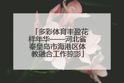 多彩体育丰盈花样年华——河北省秦皇岛市海港区体教融合工作掠影