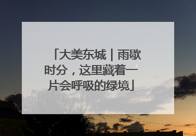 大美东城｜雨歇时分，这里藏着一片会呼吸的绿境