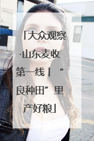 大众观察·山东麦收第一线丨“良种田”里产好粮