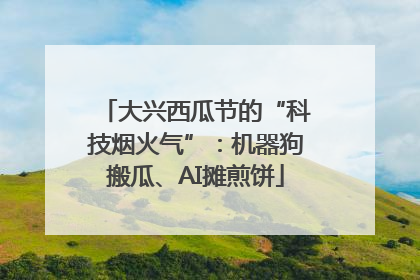 大兴西瓜节的“科技烟火气”：机器狗搬瓜、AI摊煎饼