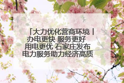 大力优化营商环境丨办电更快 服务更好 用电更优 石家庄发布电力服务助力经济高质量发展八项措施
