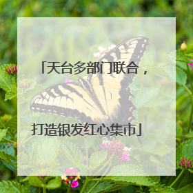 天台多部门联合，打造银发红心集市