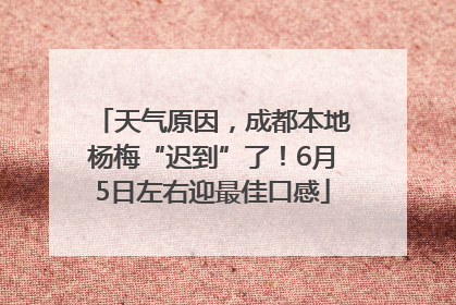 天气原因，成都本地杨梅“迟到”了！6月5日左右迎最佳口感