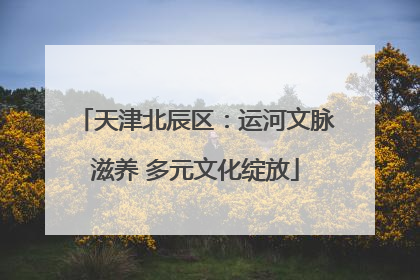 天津北辰区：运河文脉滋养 多元文化绽放