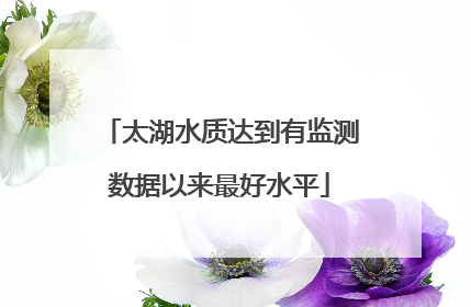 太湖水质达到有监测数据以来最好水平