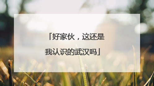 好家伙，这还是我认识的武汉吗