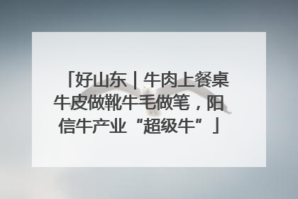 好山东｜牛肉上餐桌牛皮做靴牛毛做笔，阳信牛产业“超级牛”