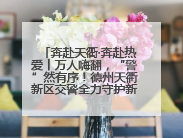 奔赴天衢·奔赴热爱丨万人嗨翻，“警”然有序！德州天衢新区交警全力守护新青年音乐节