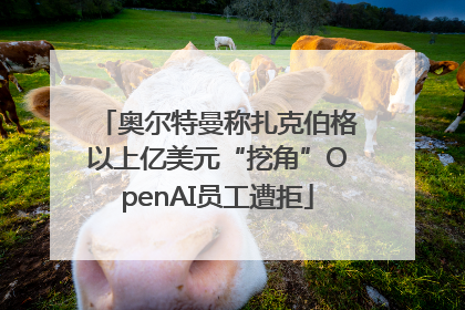 奥尔特曼称扎克伯格以上亿美元“挖角”OpenAI员工遭拒