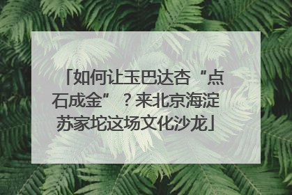 如何让玉巴达杏“点石成金”？来北京海淀苏家坨这场文化沙龙