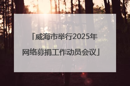 威海市举行2025年网络募捐工作动员会议