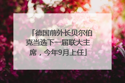 德国前外长贝尔伯克当选下一届联大主席，今年9月上任