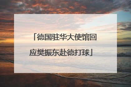 德国驻华大使馆回应樊振东赴德打球