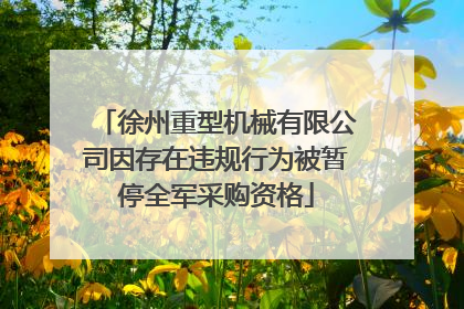 徐州重型机械有限公司因存在违规行为被暂停全军采购资格