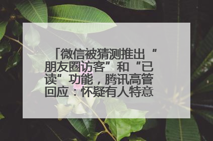 微信被猜测推出“朋友圈访客”和“已读”功能，腾讯高管回应：怀疑有人特意反复翻炒流量