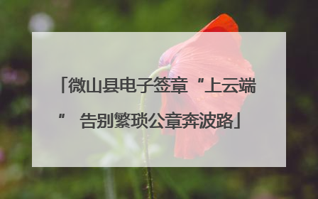 微山县电子签章“上云端” 告别繁琐公章奔波路