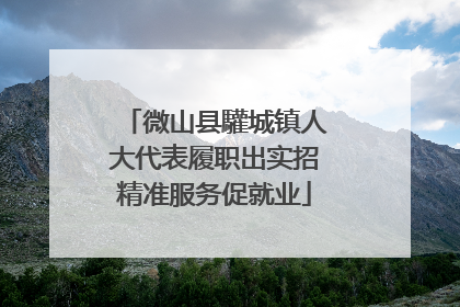 微山县驩城镇人大代表履职出实招精准服务促就业