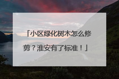 小区绿化树木怎么修剪？淮安有了标准！
