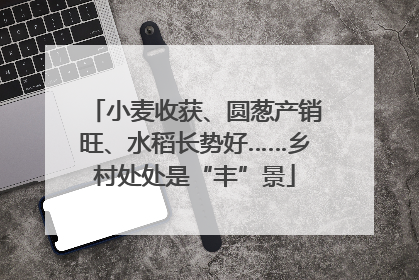 小麦收获、圆葱产销旺、水稻长势好……乡村处处是“丰”景