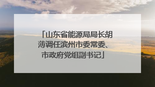 山东省能源局局长胡薄调任滨州市委常委、市政府党组副书记