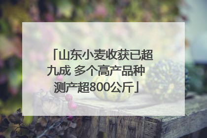 山东小麦收获已超九成 多个高产品种测产超800公斤