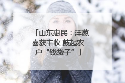 山东惠民：洋葱喜获丰收 鼓起农户“钱袋子”