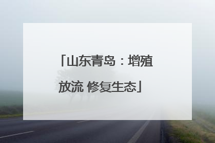 山东青岛：增殖放流 修复生态