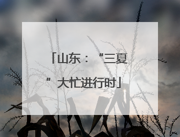 山东：“三夏”大忙进行时