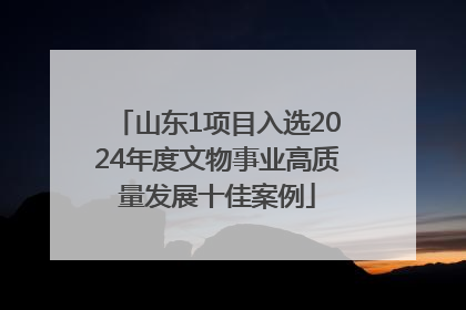 山东1项目入选2024年度文物事业高质量发展十佳案例