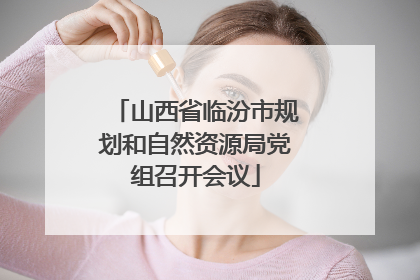山西省临汾市规划和自然资源局党组召开会议
