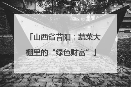 山西省昔阳：蔬菜大棚里的“绿色财富”