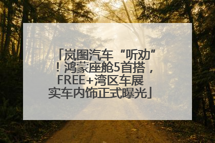 岚图汽车“听劝”！鸿蒙座舱5首搭，FREE+湾区车展实车内饰正式曝光