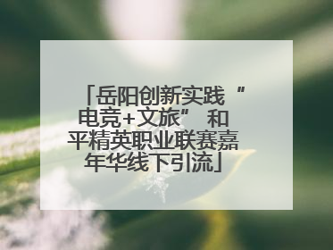 岳阳创新实践“电竞+文旅” 和平精英职业联赛嘉年华线下引流