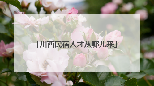 川西民宿人才从哪儿来