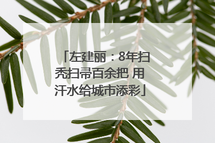 左建丽：8年扫秃扫帚百余把 用汗水给城市添彩