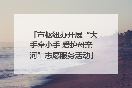 市枢纽办开展“大手牵小手 爱护母亲河”志愿服务活动