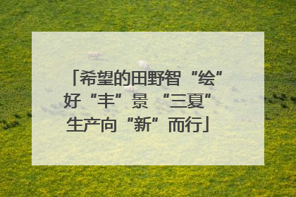 希望的田野智“绘”好“丰”景 “三夏”生产向“新”而行