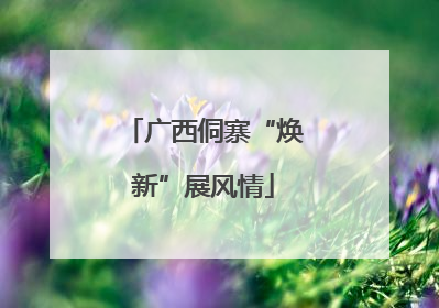 广西侗寨“焕新”展风情