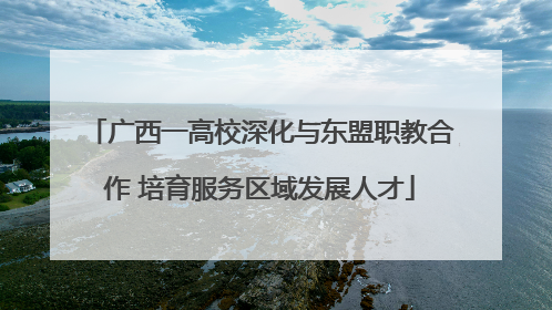 广西一高校深化与东盟职教合作 培育服务区域发展人才